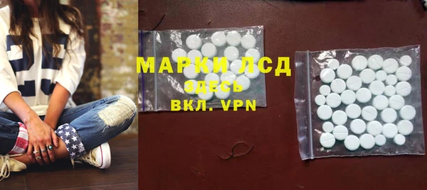 хмурый Алзамай