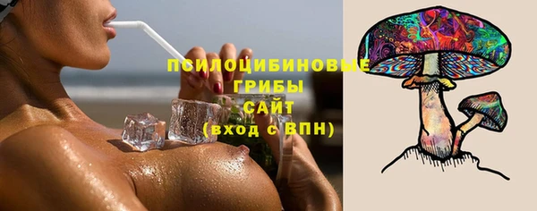 хмурый Алзамай
