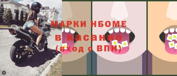 хмурый Алзамай