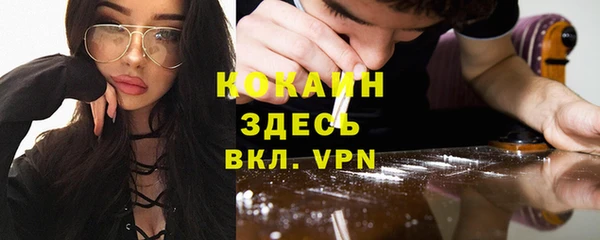 индика Заволжье
