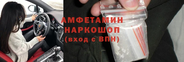 хмурый Алзамай