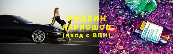хмурый Алзамай
