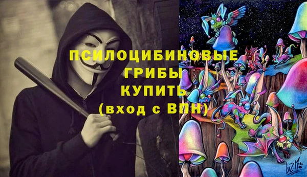 хмурый Алзамай